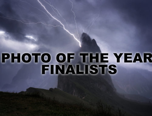2020 Photo of the Year: Finalists