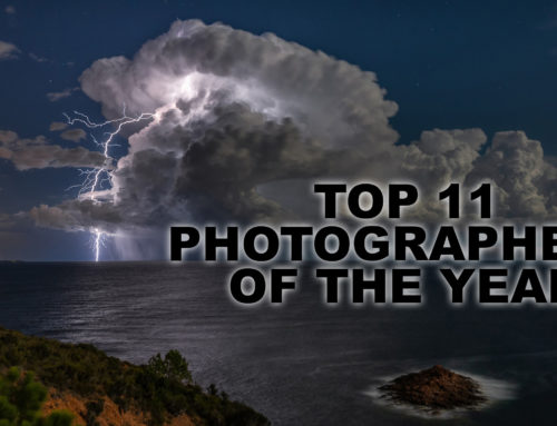 2020 Photographer of the Year: Top 11 Selections