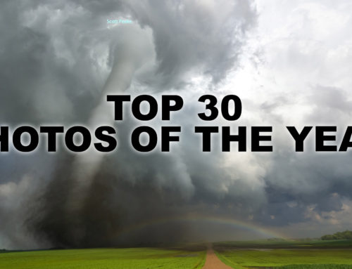 2020 Photo of the Year: Top 30 Selections