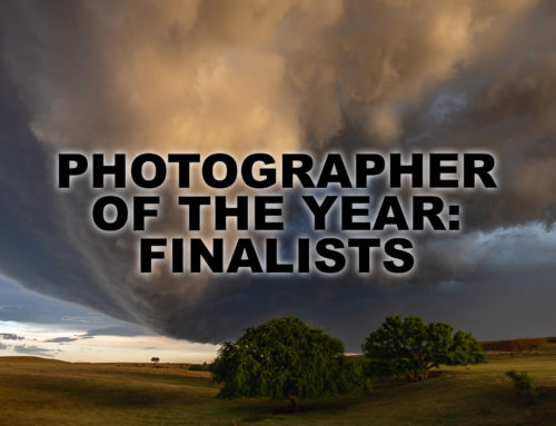 2020 Photographer of the Year: Finalists