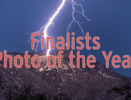 2021 Photo of the Year: Finalists!