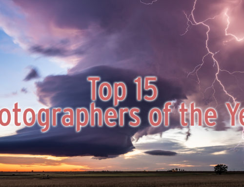 2021: Photographer of the Year: Top 15 Selections