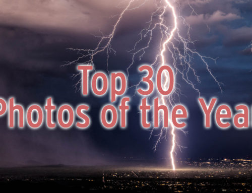 2021 Photo of the Year: Top 30 Selections