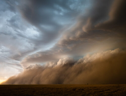 2022 Photographer of the Year:  Selections