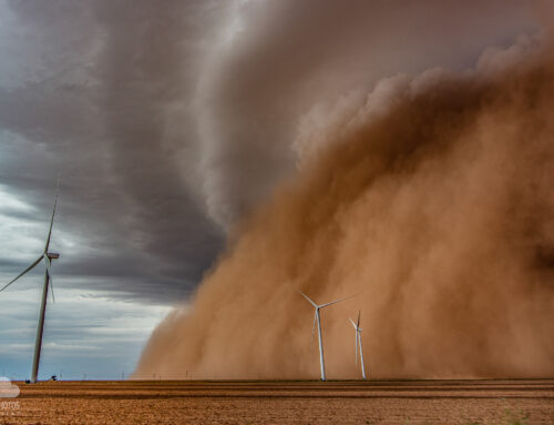 2022 Photo of the Year: Selections