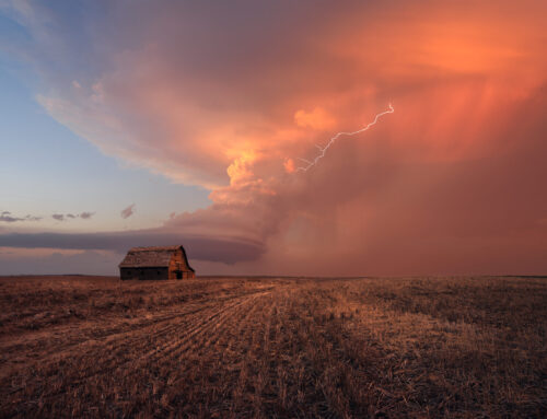 2022 Photo of the Year: Finalists