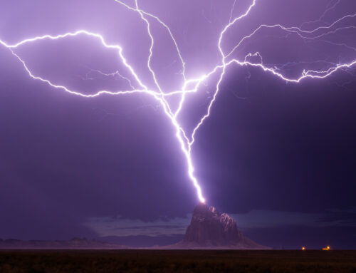 2023 Photographer of the Year: Selections