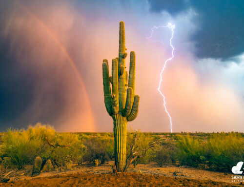 2025 Lightning Photo of the Year: Selections