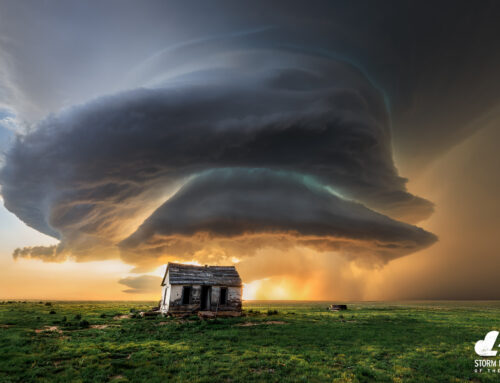 2025 Photo of the Year: Selections