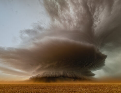 2025 Photo of the Year: FINALISTS