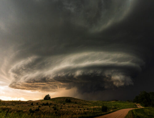 2025 Photographer of the Year: Selections