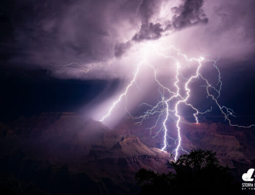 2025 Photographer of the Year: FINALISTS