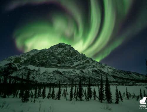 2025 Solar Storm Photo of the Year: Selections