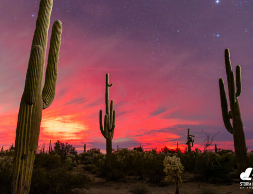2025 Solar Storm Photo of the Year: FINALISTS